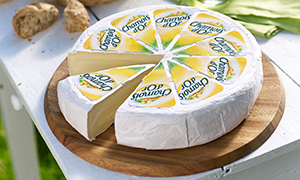 Le fromage du mois : Chamois d’Or